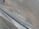 Thumbnail image of 2023 Lexus NX 250 at Mercedes-Benz of Cutler Bay