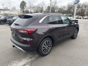 Thumbnail image of 2023 Ford Escape Plug-In Hybrid at UltimateFord of Mountain Home, AR
