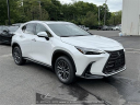 2025 Lexus NX 350h Premium at Lexus of Southampton
