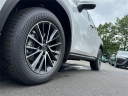 Thumbnail image of 2025 Lexus NX 350h at Lexus of Southampton