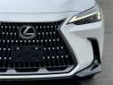 Thumbnail image of 2025 Lexus NX 350h at Lexus of Southampton