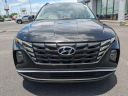 Thumbnail image of 2023 Hyundai TUCSON at Used-FranklinChevroletCadillacBuickGMC of Statesboro, GA