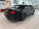 Thumbnail image of 2019 Ford Mustang at Serpentini Chevrolet of Willoughby