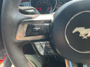 Thumbnail image of 2015 Ford Mustang at D NX MOTORS LLC