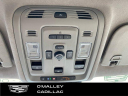Thumbnail image of 2023 Cadillac Escalade ESV at O'Malley Honda
