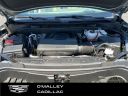 Thumbnail image of 2023 Cadillac Escalade ESV at O'Malley Honda