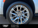 Thumbnail image of 2023 Cadillac Escalade ESV at O'Malley Honda