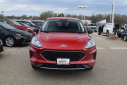 2022 Ford Escape SE at Lombard Toyota - New
