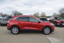 Thumbnail image of 2022 Ford Escape at Lombard Toyota - New
