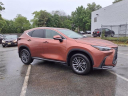 2025 Lexus NX 250 Premium at Tri-County Lexus