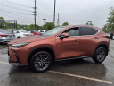 Thumbnail image of 2025 Lexus NX 250 at Tri-County Lexus