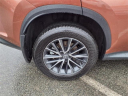 Thumbnail image of 2025 Lexus NX 250 at Tri-County Lexus