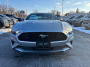 Thumbnail image of 2023 Ford Mustang at Brondes Ford Inc.
