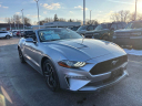 Thumbnail image of 2023 Ford Mustang at Brondes Ford Inc.