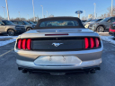 Thumbnail image of 2023 Ford Mustang at Brondes Ford Inc.
