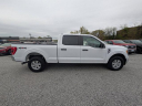 Thumbnail image of 2022 Ford F-150 at Bob Davidson Ford Lincoln Mercury USED