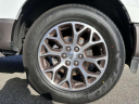 Thumbnail image of 2023 Ford F-150 at Sayville Ford