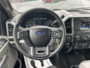 Thumbnail image of 2017 Ford F-150 at Uftring AutoMall USED