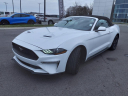 Thumbnail image of 2022 Ford Mustang at Bates Ford