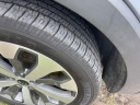 Thumbnail image of 2021 Kia Telluride at Regal Automotive (Kia Chevy)