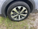 2021 Kia Telluride S at Regal Automotive (Kia Chevy)