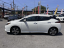 2022 Nissan LEAF SL PLUS at Bronx Nissan