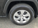 Thumbnail image of 2022 Toyota RAV4 at The New Babylon Honda