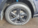 Thumbnail image of 2021 Toyota RAV4 Hybrid at Team ToyotaDMS