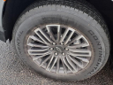 Thumbnail image of 2024 Chevrolet Suburban at Serra Buick Gmc Champaign
