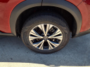 Thumbnail image of 2023 Nissan Rogue at Mossy Nissan