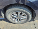 Thumbnail image of 2024 Toyota Sienna at Spartan Toyota