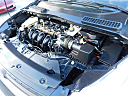 Thumbnail image of 2015 Ford Escape at USA Auto Sales of Central Florida