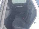 Thumbnail image of 2025 INFINITI QX50 at Infiniti of Fort Myers