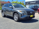 Thumbnail image of 2022 Hyundai TUCSON at T & T Coast Buick Gmc