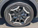 Thumbnail image of 2023 Kia Telluride at GaleanaKia - New