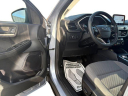 Thumbnail image of 2022 Ford Escape at LaFontaine Toyota Kia Genesis of Dearborn