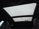 Thumbnail image of 2019 Maserati Levante at Lynnes Nissan City Inc