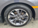Thumbnail image of 2022 Honda Odyssey at The New Babylon Honda