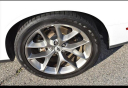 Thumbnail image of 2022 Dodge Challenger at Lee Edwards Mazda