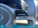 Thumbnail image of 2022 Hyundai ELANTRA at South Shore Hyundai