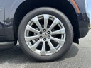 Thumbnail image of 2025 Chevrolet Tahoe at Mike Bell Chevrolet - NEW