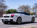 Thumbnail image of 2008 Lamborghini Gallardo at PARADISE Automotive Group INC.