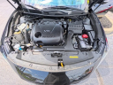 Thumbnail image of 2020 Nissan Maxima at Courtesy Acura