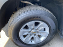 Thumbnail image of 2025 Chevrolet Silverado 1500 at New Rochelle Chevrolet
