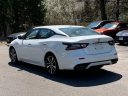 Thumbnail image of 2023 Nissan Maxima at Drive World