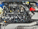 Thumbnail image of 2024 Ford Maverick at Glenn Polk Ford Autoplex