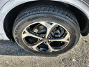 Thumbnail image of 2023 Ford Escape at Northwest Hills Chevrolet Buick GMC Cadillac
