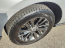 Thumbnail image of 2019 Ford Expedition MAX at Serra Buick Gmc Champaign