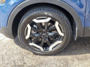 Thumbnail image of 2024 Kia Telluride at Mike Castrucci Chevrolet