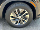 Thumbnail image of 2022 Hyundai PALISADE at Advantage Hyundai Genesis of North Shore